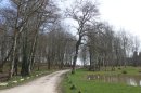 Etangs Franchot
